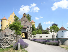 Schloss Erbach – Besitzer der Anlage