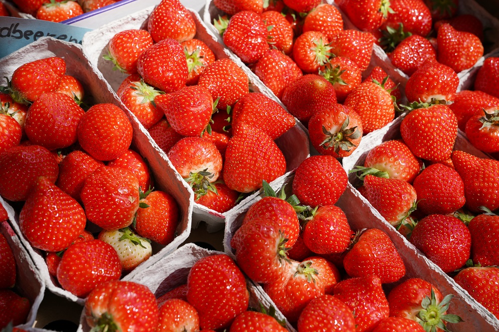 Erdbeeren Erdbeeren